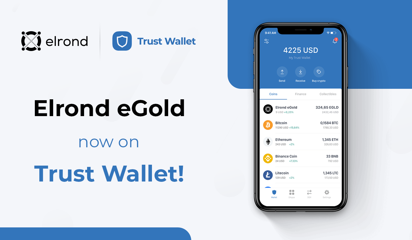 How safe is it to store your EGLD in a digital wallet